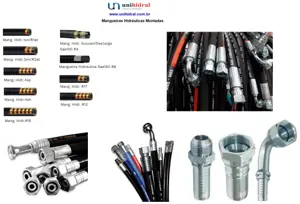 Mangueira Hidráulica Com Conexões